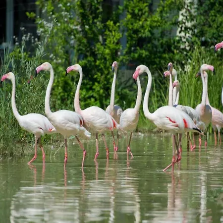 Kronenburger Countryside Vakantiehuis Hallschlag