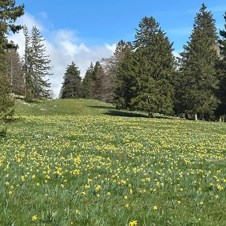 Ruhige Bungalows Am Kronenburger See Mit Eigener Terrasse Semesterbostad