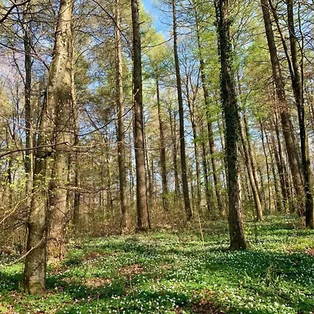 Kronenburger Countryside Vakantiehuis Hallschlag