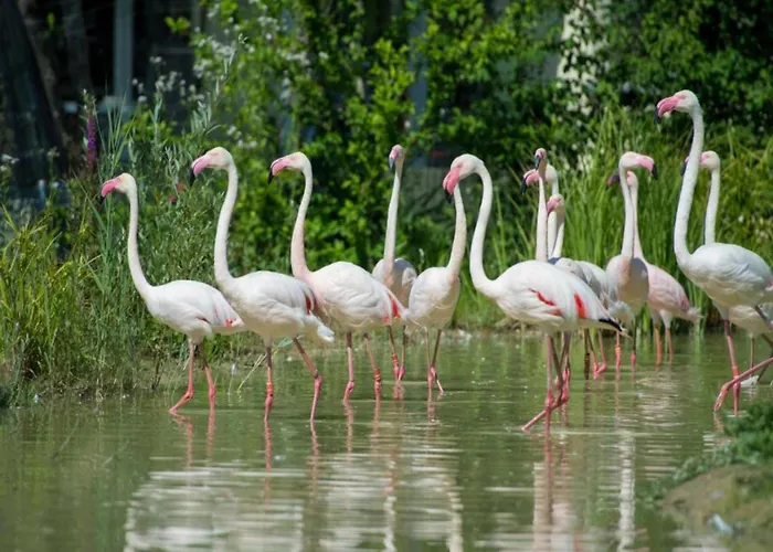 Kronenburger Countryside בית נופש Hallschlag