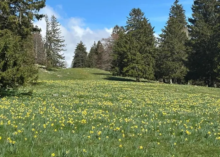 Kronenburger Countryside בית נופש