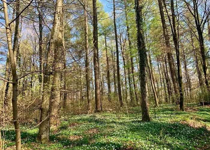 Kronenburger Countryside בית נופש Hallschlag